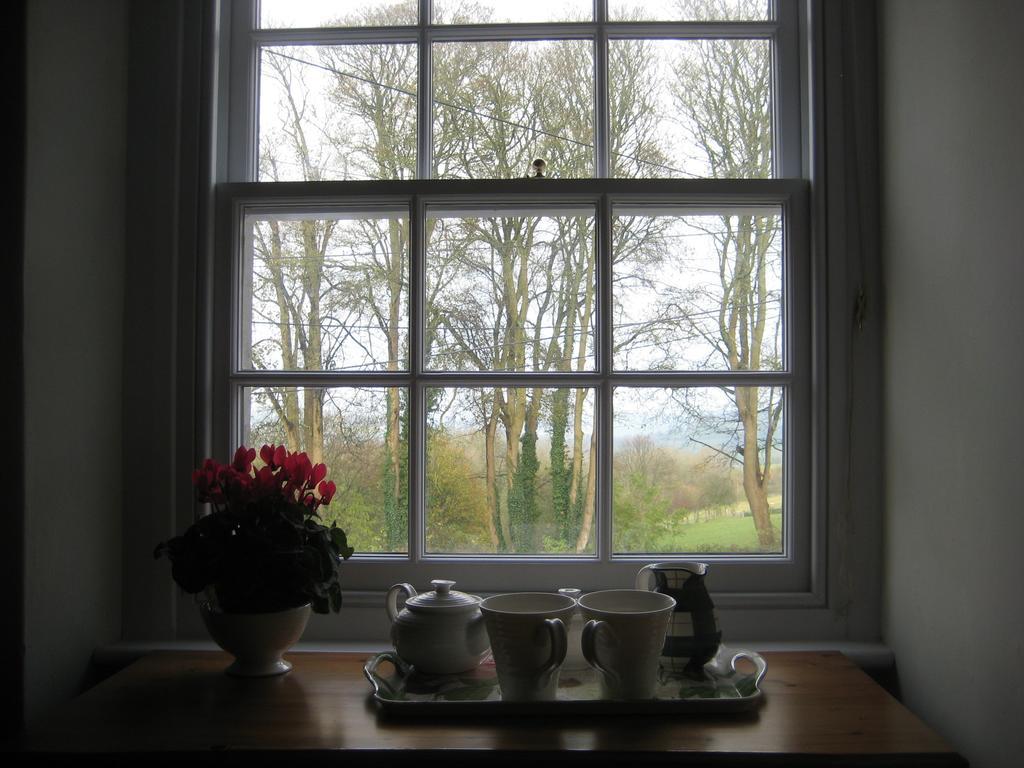 Prospect Cottage Box  Quarto foto